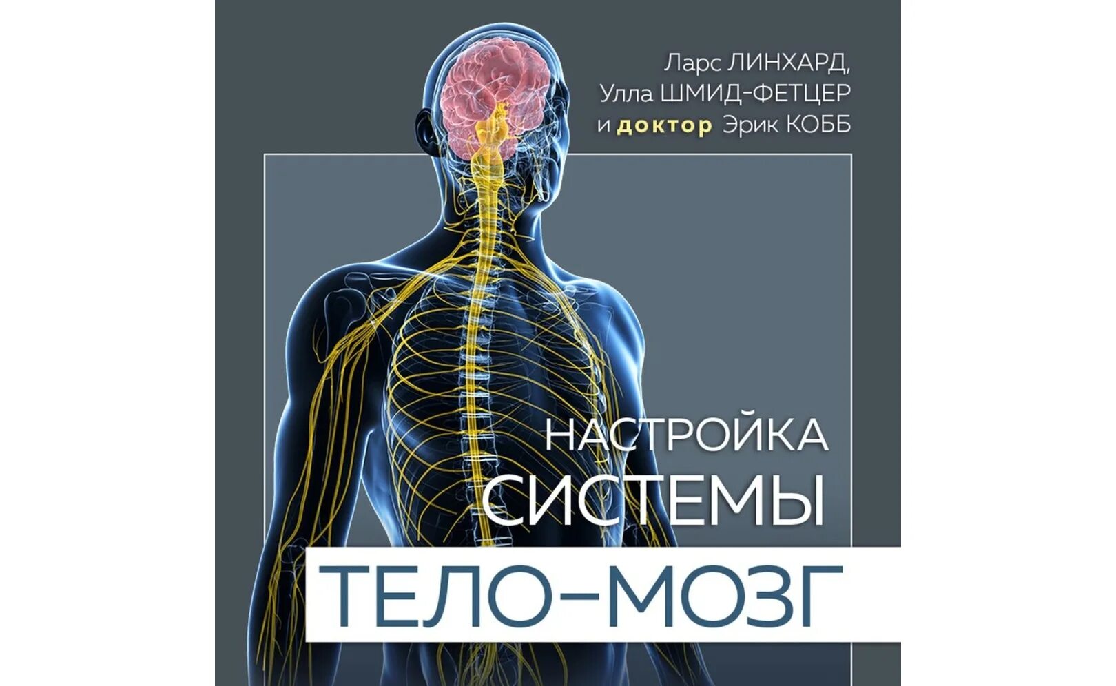 Стэнли розенберг блуждающий нерв. Анатомия стресса. Мозг и тело. Блуждающий нерв упражнения. Нервная система книги.