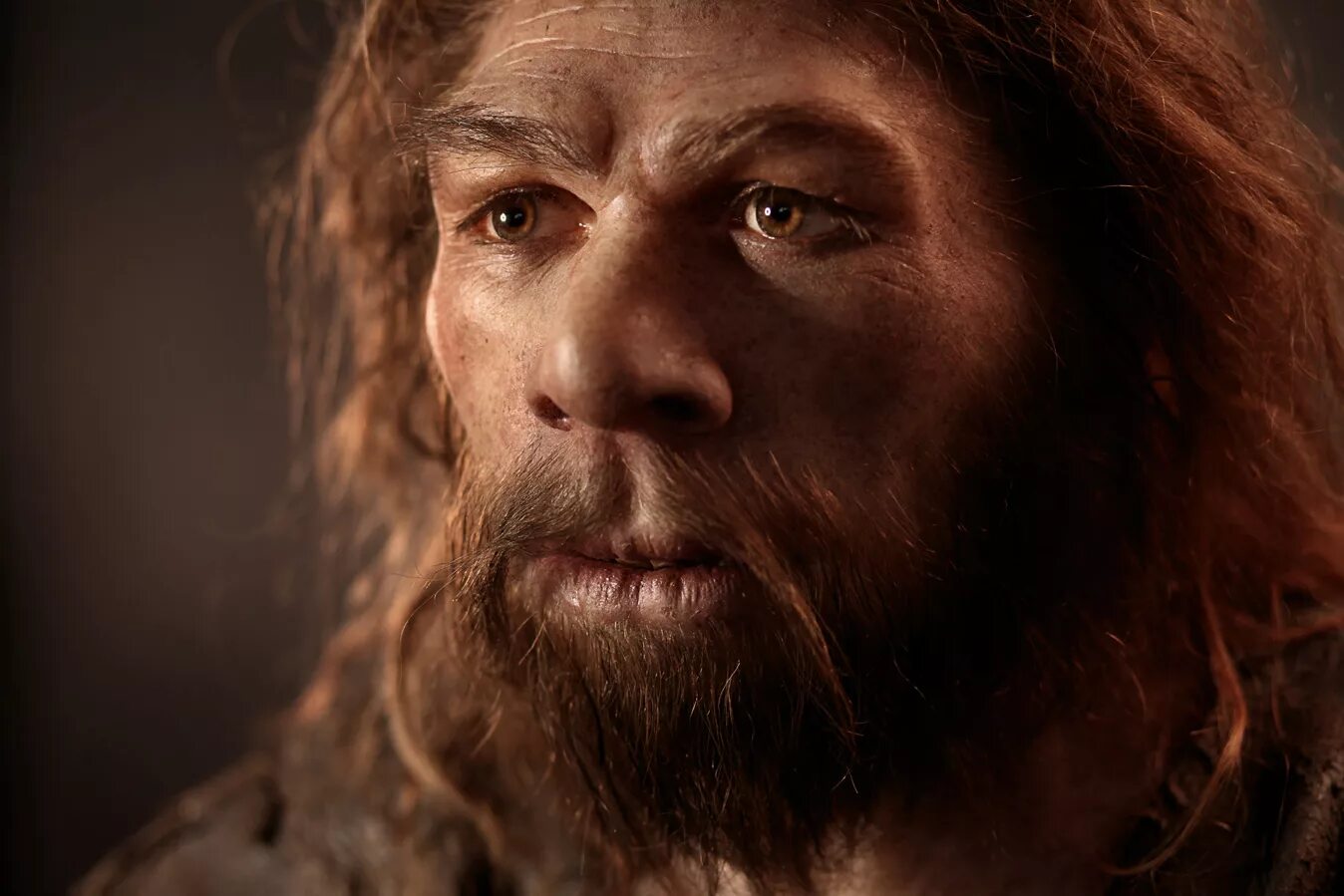 Каменный век неандертальцы. Неандерталец хомосапиенс. Кости с зарубками. Андерталец неандерталец. 33–30 тыс.