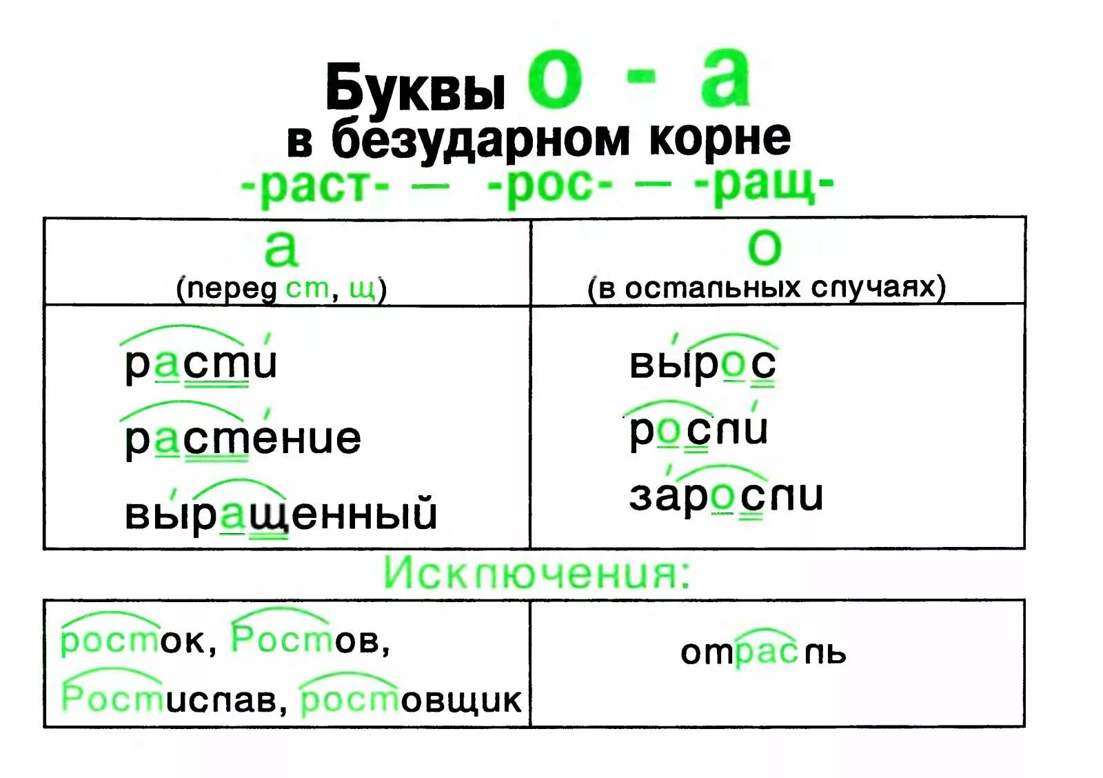 Трава выросла глаголы. Корни рост и раст правописание. Буквы а о в корне раст рост.