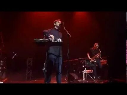 Видео группы дельфин