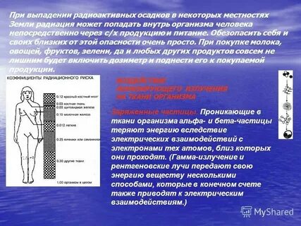 Гамма человек это