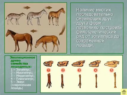 Наличие много