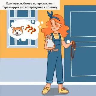Чипа чип потерян