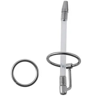 Urethra