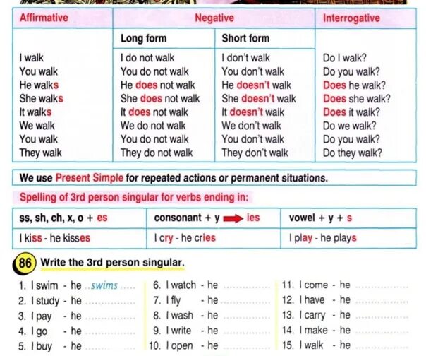 Write interrogative sentences. Present simple affirmative правило. Презент Симпл негатив. Present simple affirmative and negative. Present simple negative and interrogative.