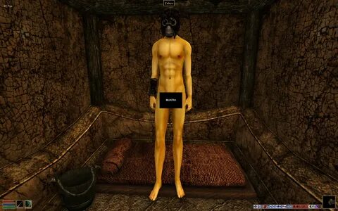 Morrowind Sex Mod.