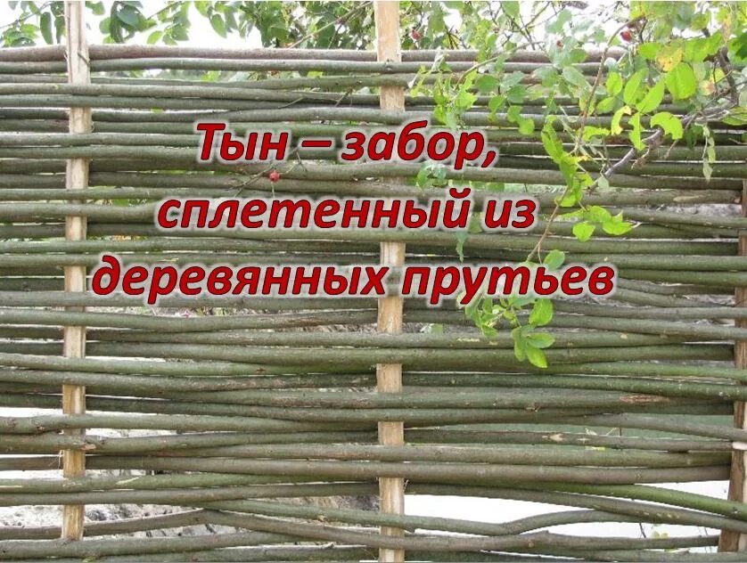 Тыном таном. Тын текст. Тын текст. Тын текст. Плетень.
