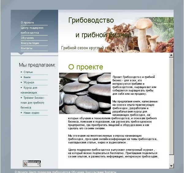 Проект по технологии грибы. Интересные факты о грибах. Технология грибоводство. Проект по технологии грибы. Культивируемые грибы вешенка.