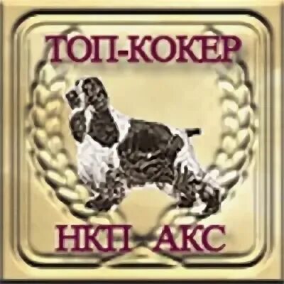 Нкп спаниель. Нкп спаниель