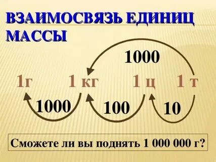 Укажите правильные пропорции