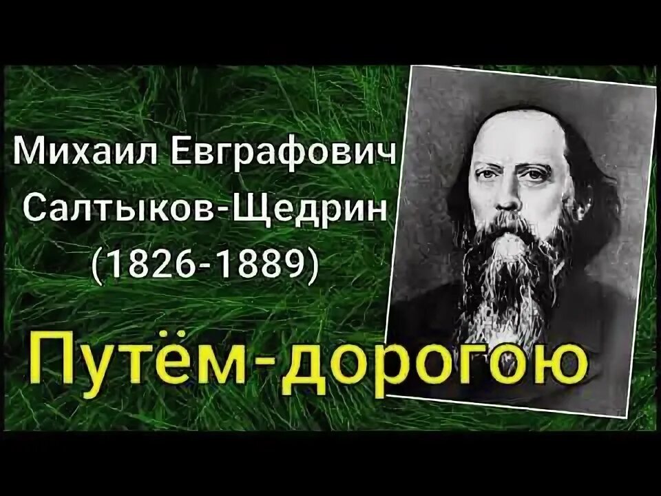 Щедрин путем дорогою. Щедрин путем дорогою. Е. Соседи сказка салтыкова щедрина. Иллюстрации два мужика.