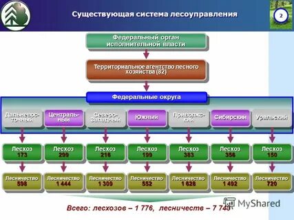 Лесничество орган