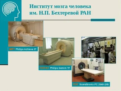 Институт мозга человека ран санкт петербург