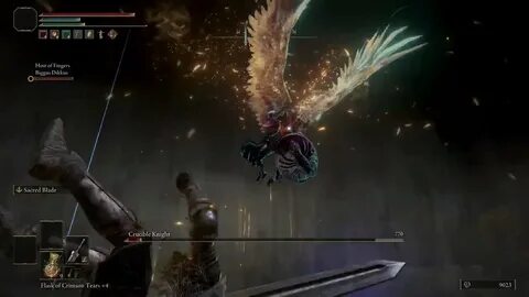 Seamless coop elden