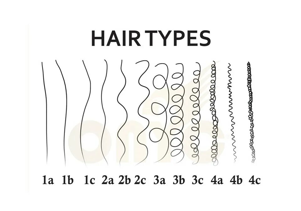 Curl types