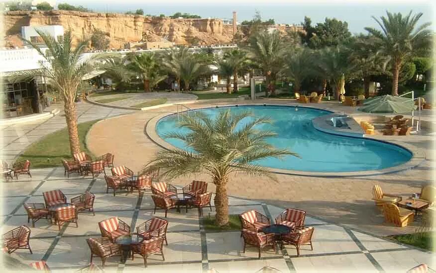 Отель сети Шарм Шарм-Эль-Шейх. Dessole Seti Sharm Resort 4 Шарм-Эль-Шейх. Отель Сити Шарм Шарм-Эль-Шейх в Египте. Египет Шарм-Эль-Шейх отель сети Шарм 4*.