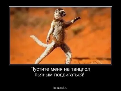 На танцпол пьяным подвигаться слушать