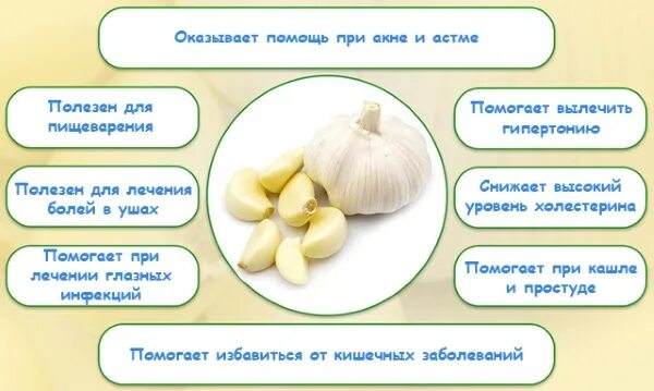 Чесночная вода для организма человека. Польза чесночный воды для человека. Чем полезна чесночная вода для человека. Польза чесночной воды для организма человека. Чесночная вода для организма