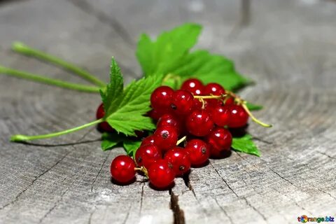 Ягоды красной смородины