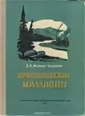 Мамин сибиряк является автором приваловские миллионы. Приваловские миллионы книга. Д. Н. мамин-Сибиряк «Приваловские миллионы». Мамин Сибиряк Приваловские миллионы книга. Мамин Сибиряк Приваловские миллионы иллюстрации.