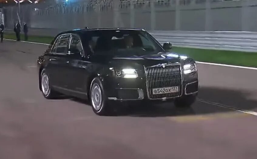 Давидыч аурус. Давидыч аурус