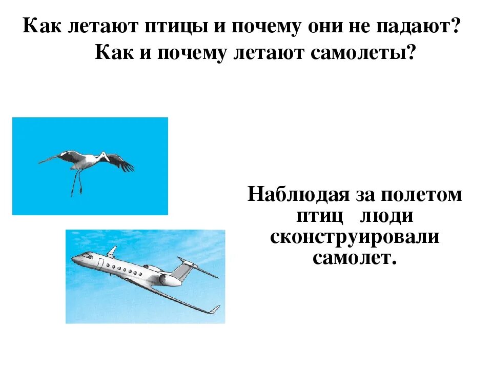 Зачем люди летают. Почему летает самолет. Как летают птицы. Почему птицы летают. С помощью чего летают птицы.