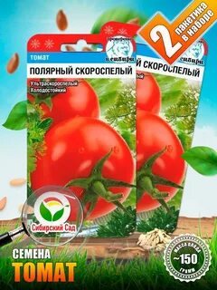 Томат полярное сияние