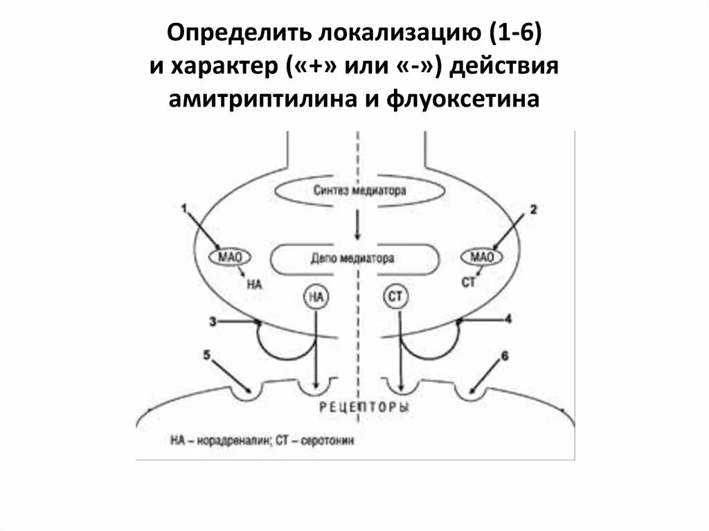 Механизм действия ноотропов схема. Механизм действия антидепрессантов схема. Амитриптилин механизм действия схема. Механизм действия психостимуляторов схема.