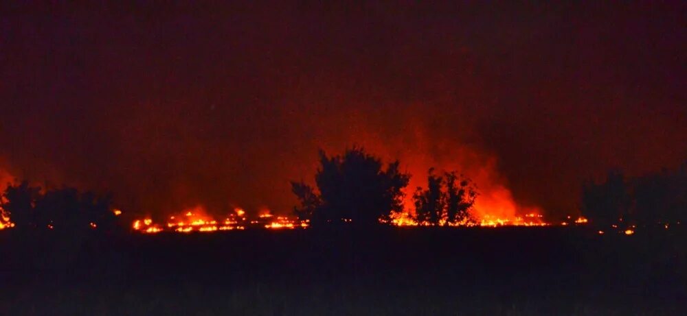 Горит трава ночью. Поле горит. пожар в поле. пожар в поле ночью. горящее поле ночью.