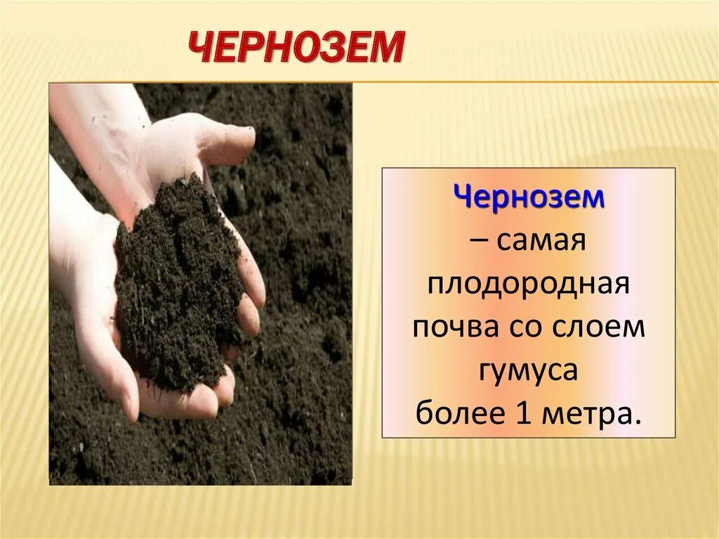 Где находится плодородная почва. Плодородная почва. Самые плодородные почвы. Почва презентация. Чернозем самая плодородная почва.