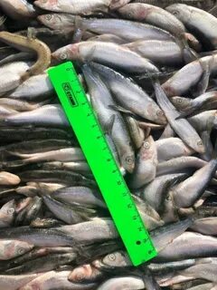 Продавать через каспий