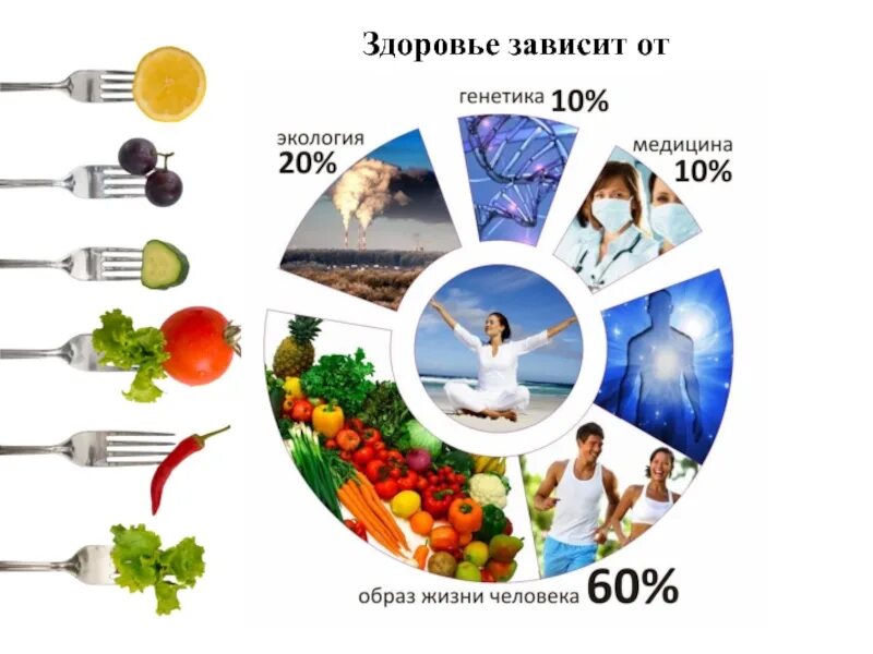От чего зависит ешь ешь. Ты то что ты ешь. здоровье зависит от образа жизни. мы то что мы едим. что мы едим презентация.