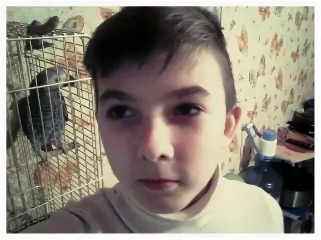 Бочков нижний новгород