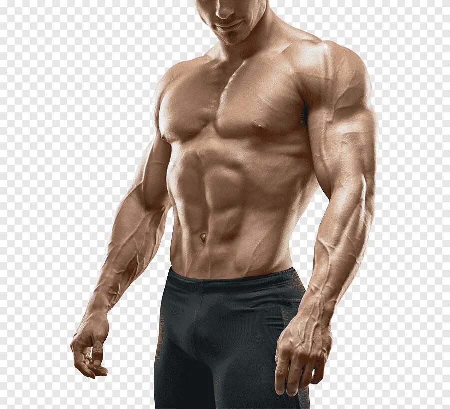 Building your body
