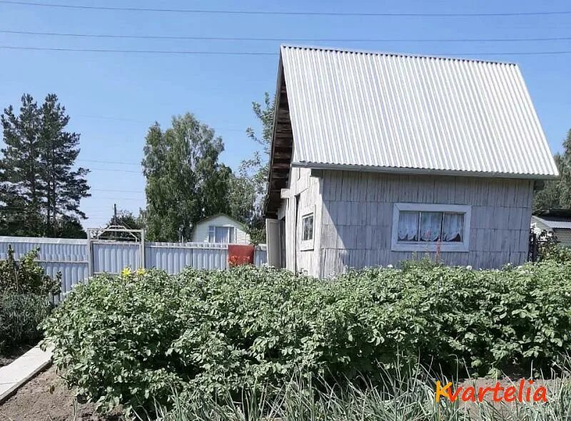 СНТ Сосновка Северск. СОПК Сосновка Северск. СНТ Альянс Северск. В Северске микрорайон Сосновку. Купить недвижимость северск