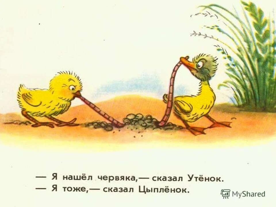 Про утенка и цыпленка. Про утенка и цыпленка