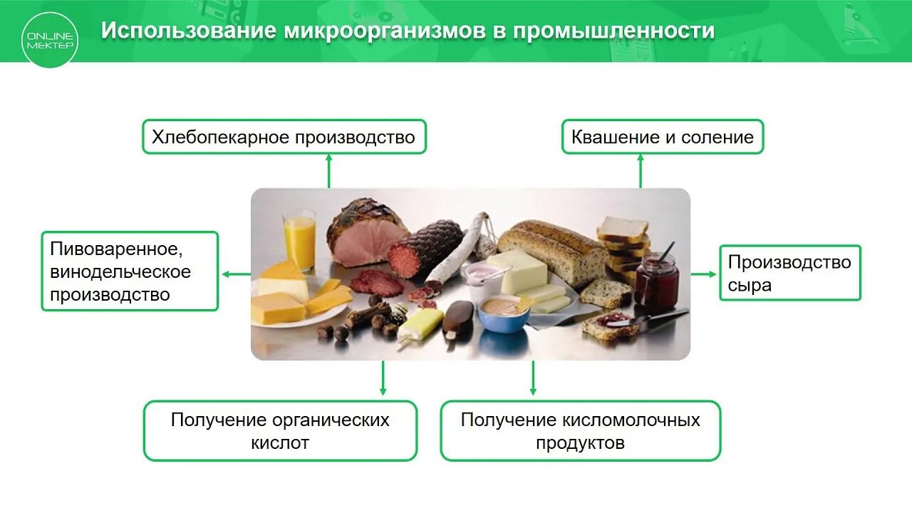 Использование микроорганизмов человеком. Применение бактерий в промышленности. Использование бактерий человеком. Использование бактерий в пищевой промышленности.