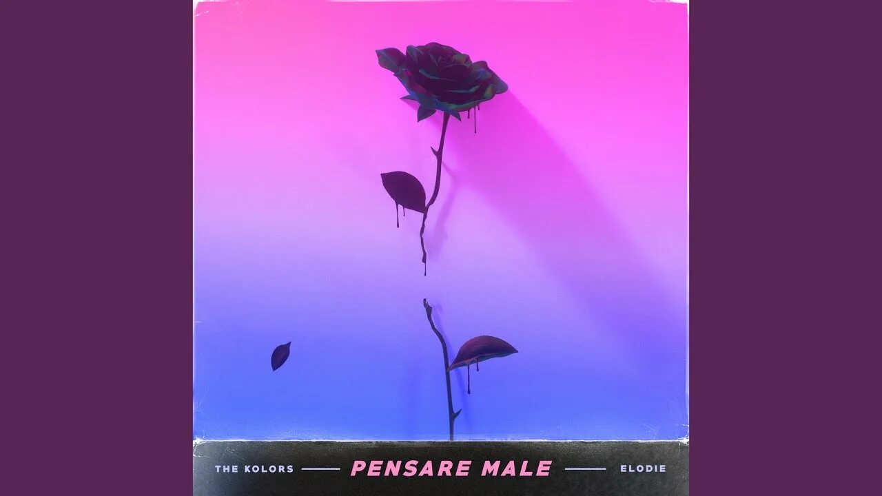 Pensare male. The colors - pensare male. Pensare male. Pensare male. Фото группы elodie feat.