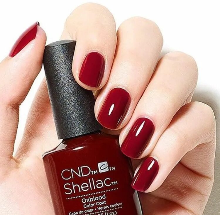 Гель лак shellac. Cnd shellac black cherry. cnd vinylux oxblood. cnd shellac bloodline. cnd shellac how merlot.