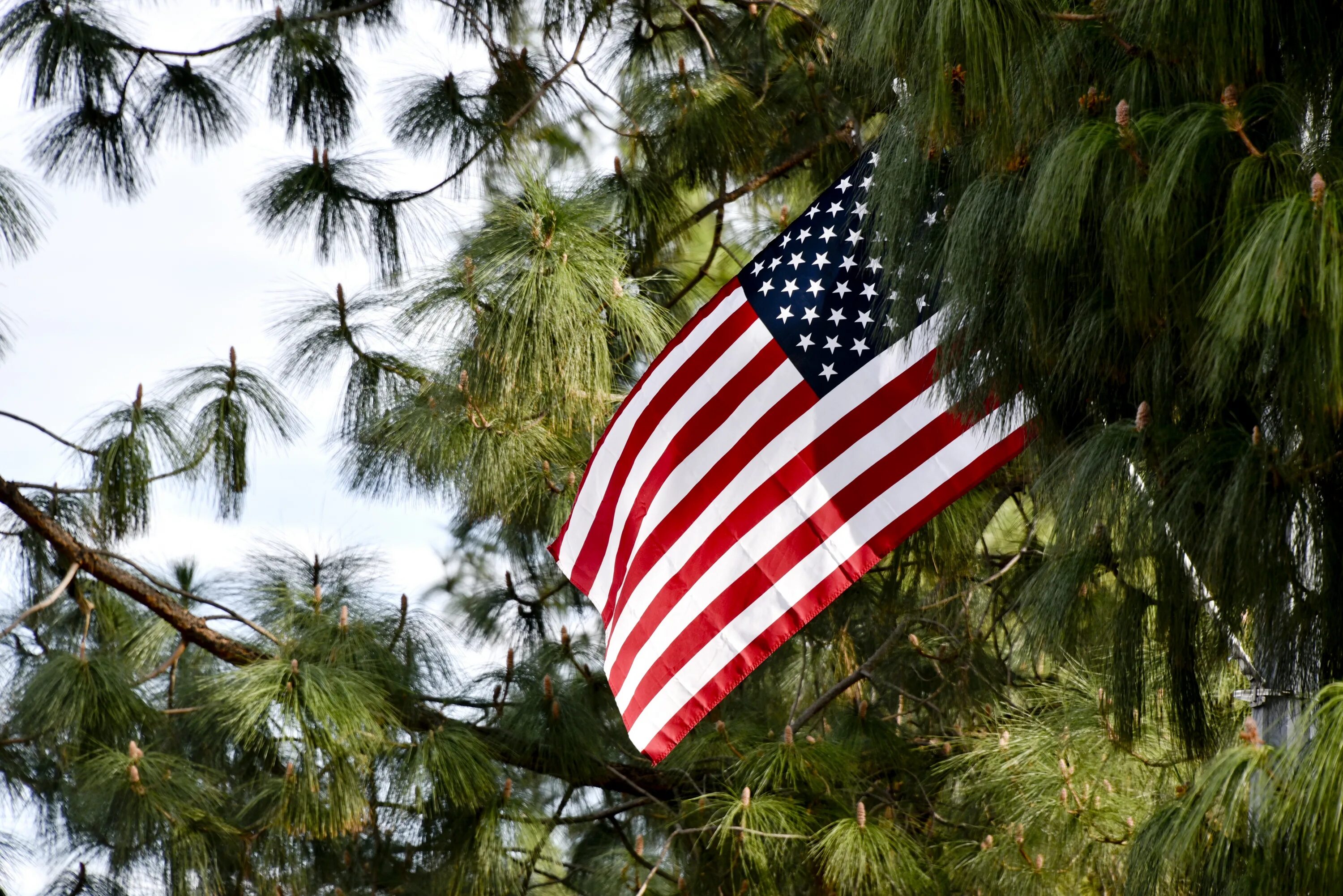Разнообразия сша. Флаг США. Флаг США 1920. Pixabay флаг США. Американский флаг США.