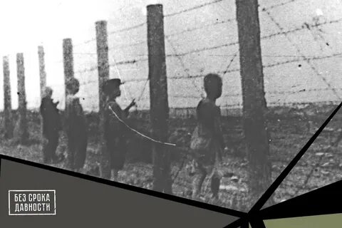 Преступление против детства 1941 1945