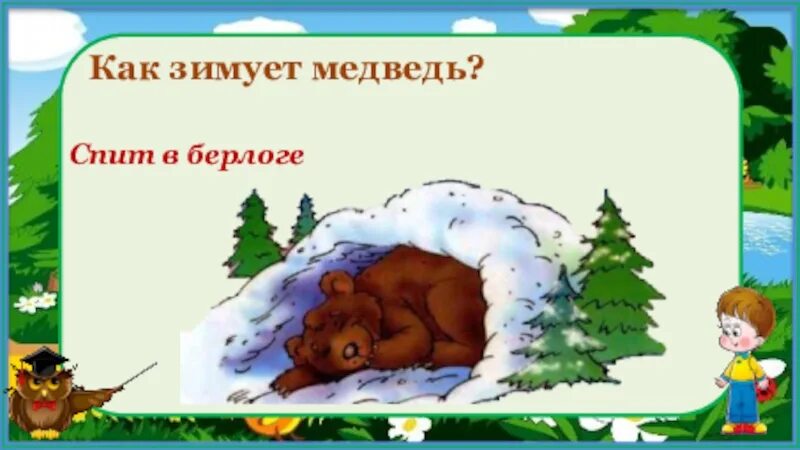 Берлога медведя. Долго спал медведь в берлоге. Долго спал медведь в берлоге стих.