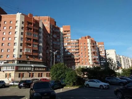 Просвещения 53