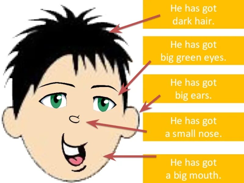 Английские карточки волосы. He is the of her eye. Описание человека на английском языке. Стих про части тела на английском для детей. He is the of her eye.