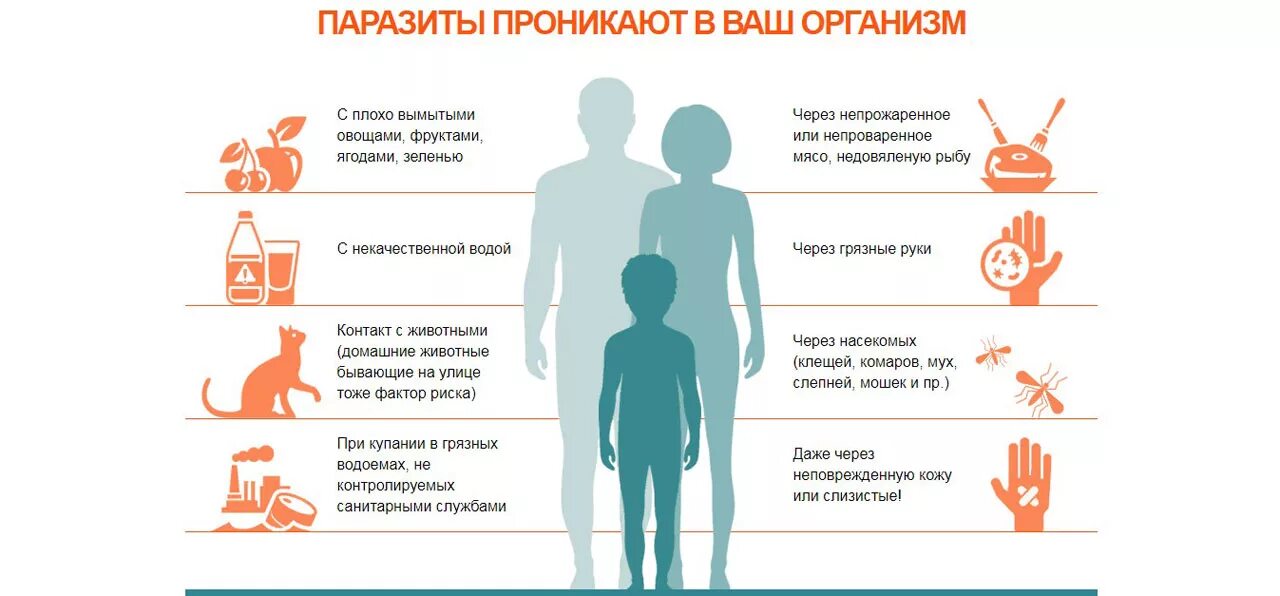 Симптомы если есть паразиты. Паразиты в организме симптомы. симптомы наличия паразитов в организме человека. паразиты в организме человека профилактика. симптомы заражения паразитами.