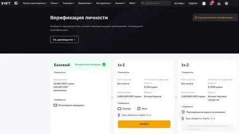 Лимит вывода байбит