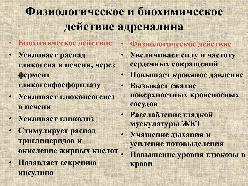 Влияние адреналина. Физиологическиеффекты адреналина. Адреналин действие на организм. Физиологический эффект гормона адреналин.