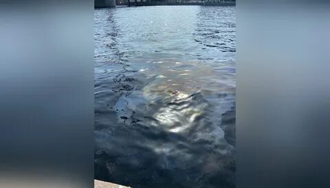 Нев мочь