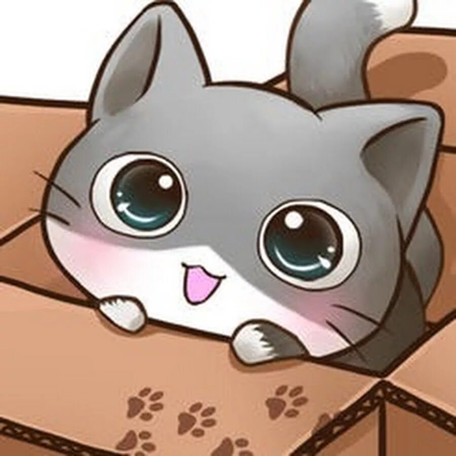 3 cat game. Cute cats игра. cat room игра. покет кэт. cat room cute cat games.