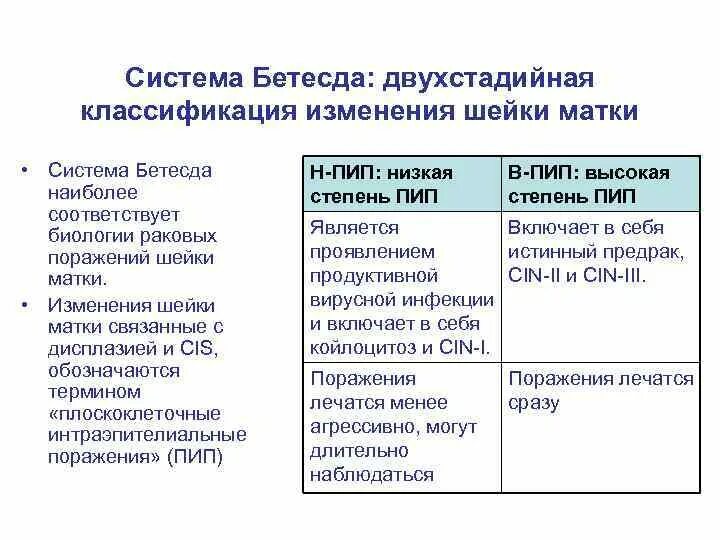 The bethesda system. Классификация Бетесда цитологии шейки матки. Система Бетесда. Бетезда классификация цитологии шейки матки. Классификация Бетесда шейка матки 2015.